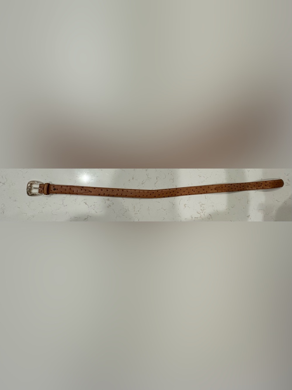 Men’s Tony Lama ostrich belt